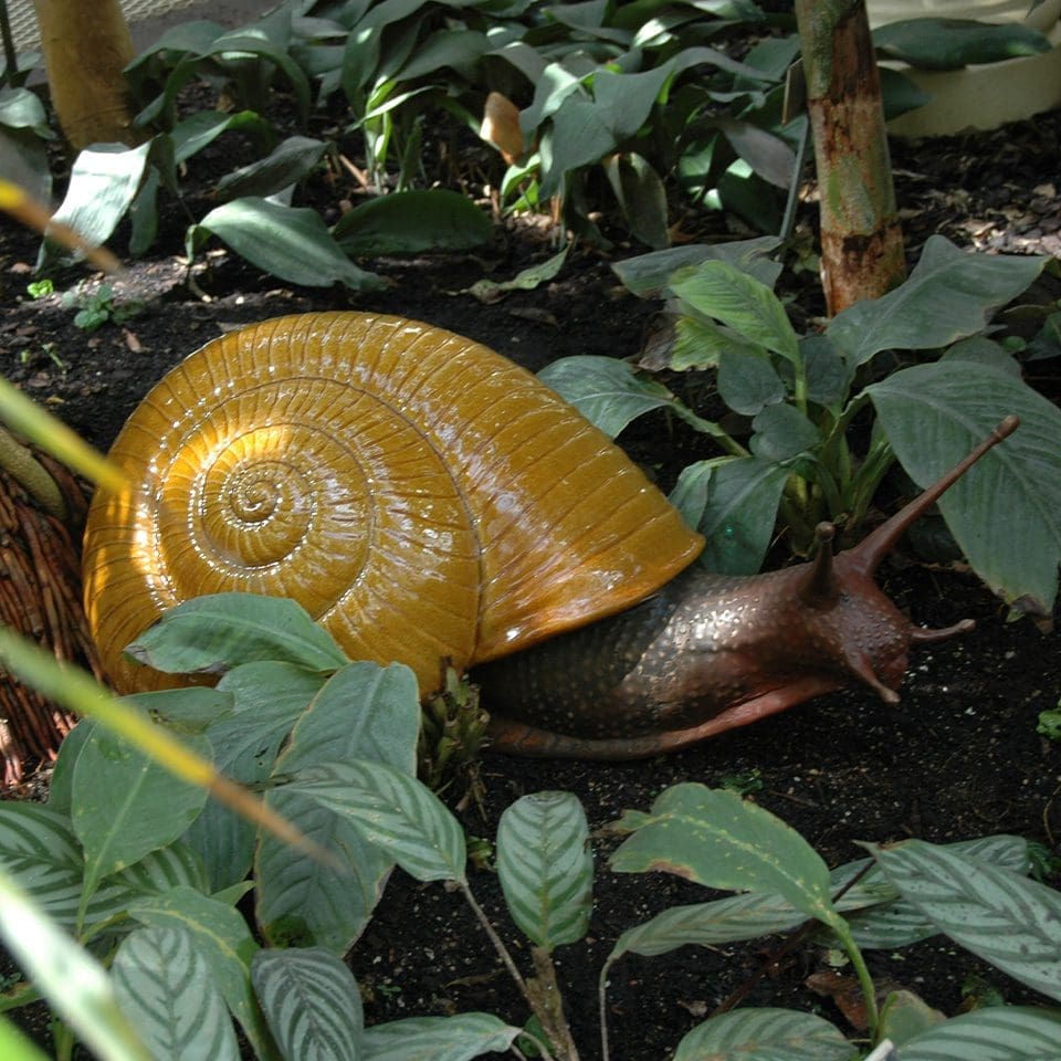 snail sculpture facing right yellow sculptor snail sculpture facing right yellow michael keane sculptor